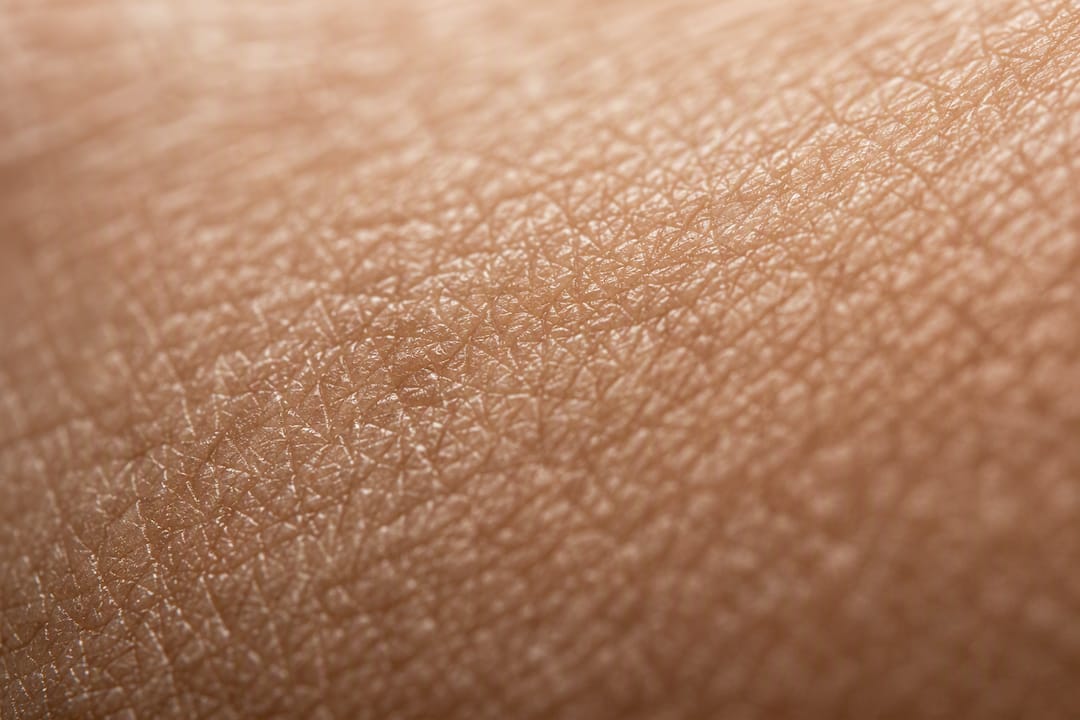 Macro image of skin collagen structure