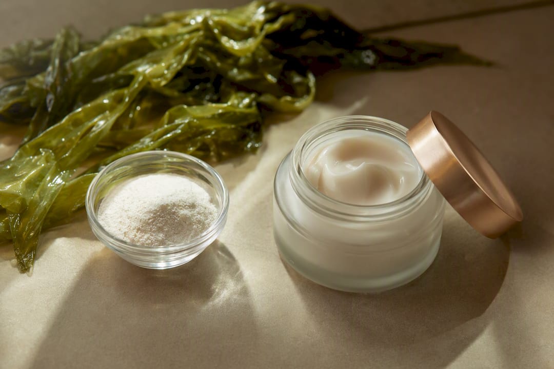 Collagen powder, cream jar and algae on stone surface
