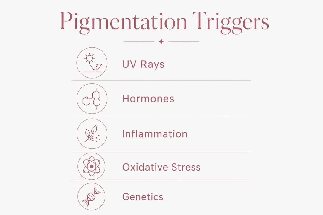 Infographic outlining key pigmentation triggers