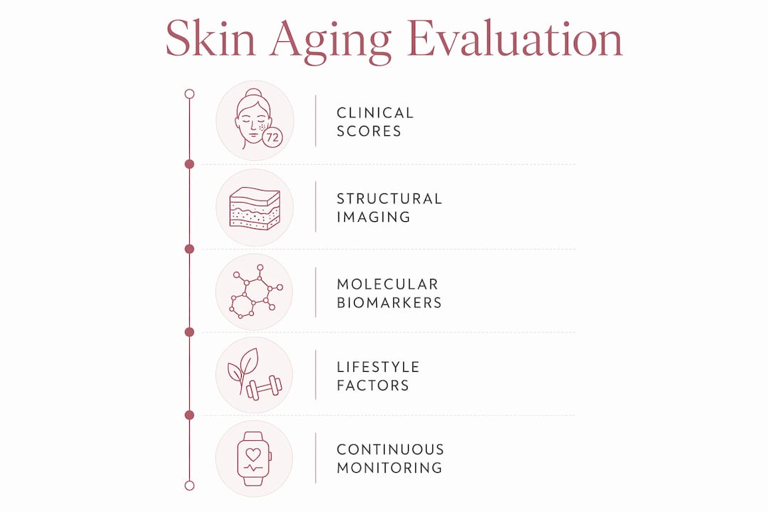 Infographic outlining steps of skin aging evaluation process
