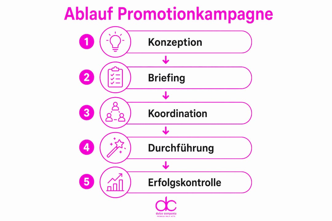 Infografik: So läuft eine Künstler-Promotionkampagne ab