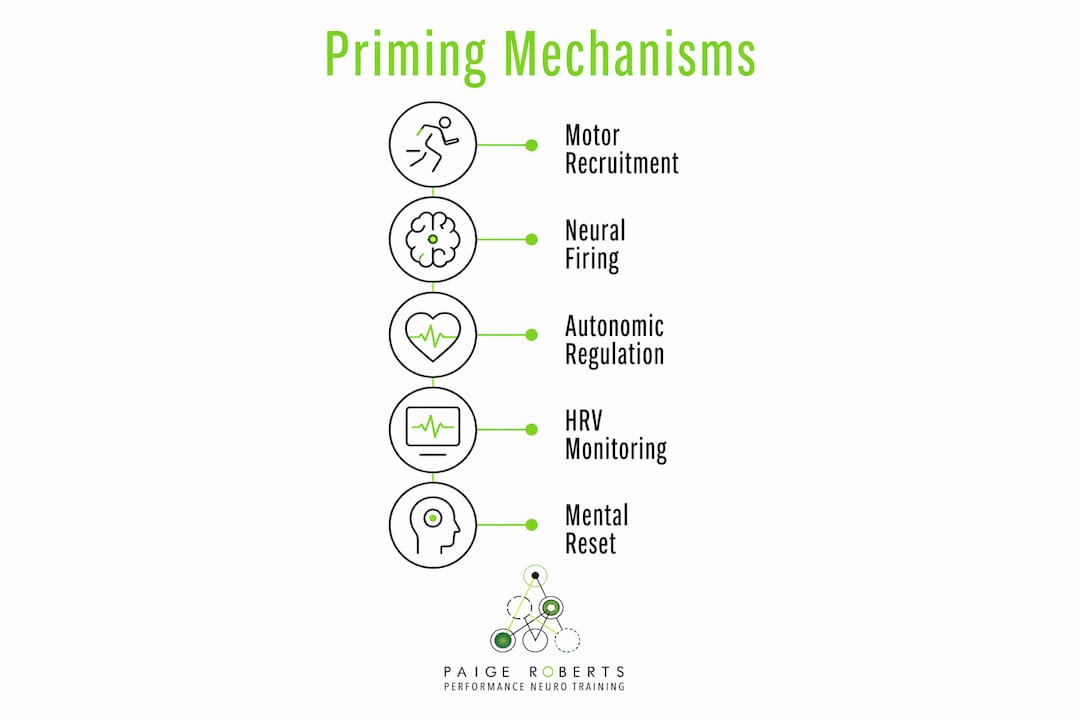 Infographic illustrating mechanisms of nervous system priming