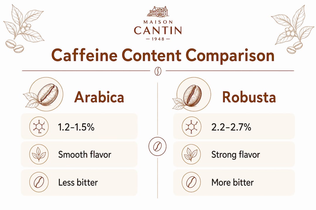 Infographic comparing caffeine content in Arabica and Robusta beans