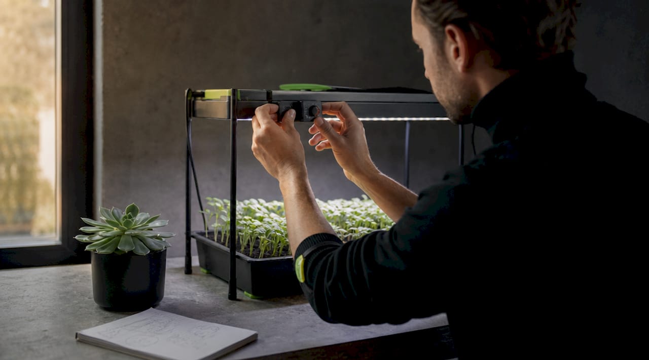 Hands programming grow light timer above seedlings