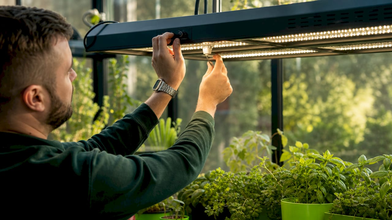 Technician adjusting LED grow light in lab