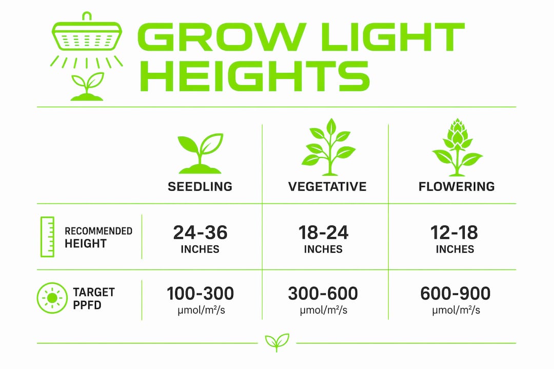 Infographic showing grow light heights by plant stage