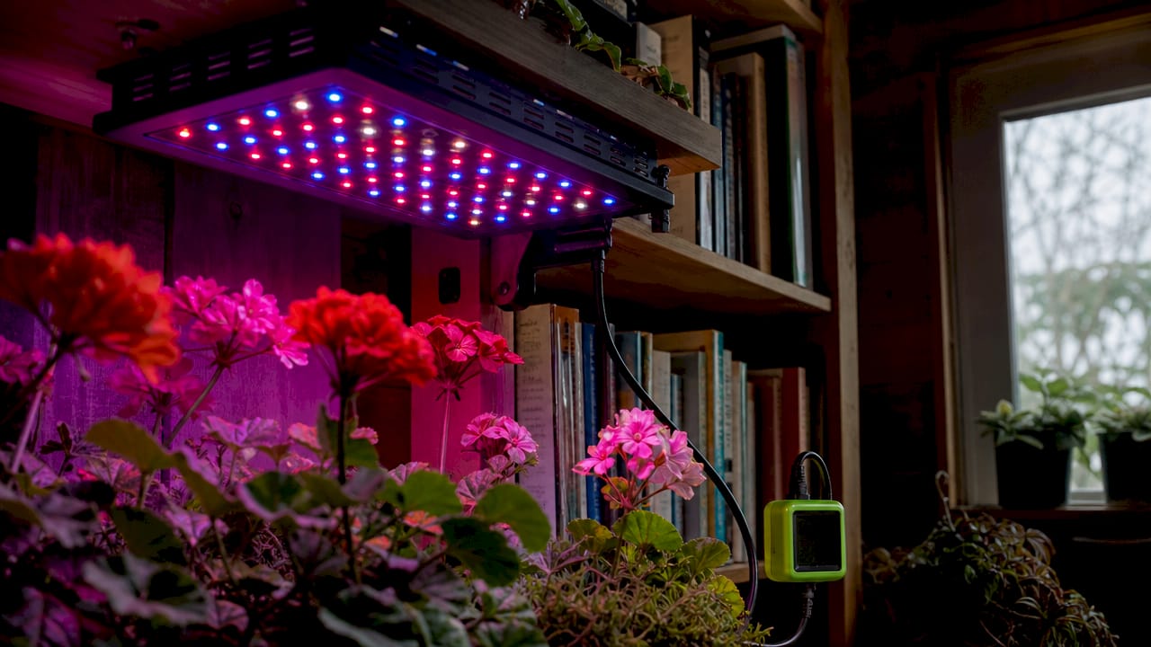 LED grow light panel in 2x2 grow tent with plants