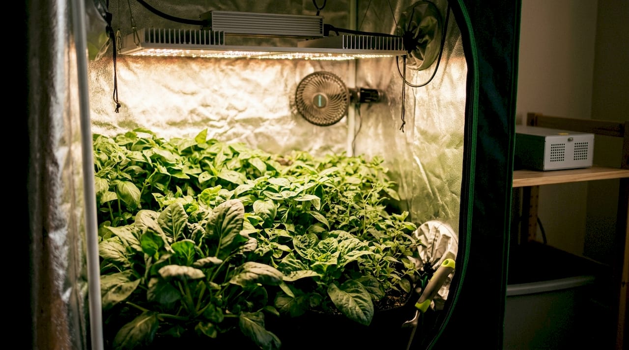 Top view of LED light with heat sinks in grow tent