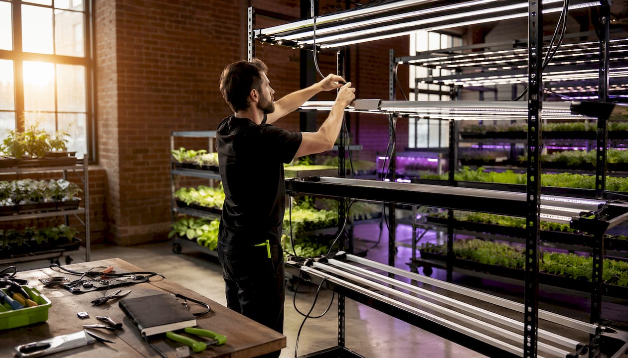 Hands placing LED grow fixtures on metal rack