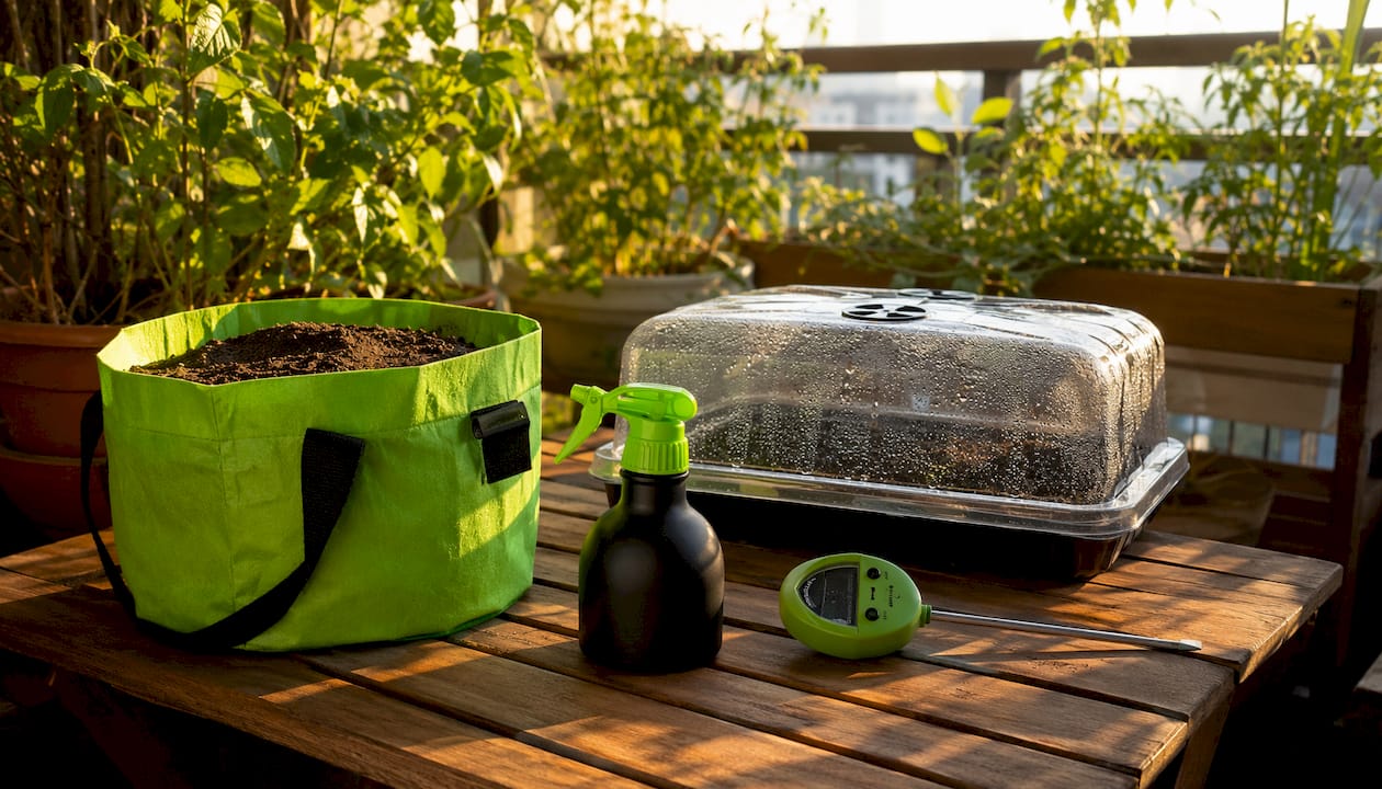 Contents of typical beginner grow kit on balcony table