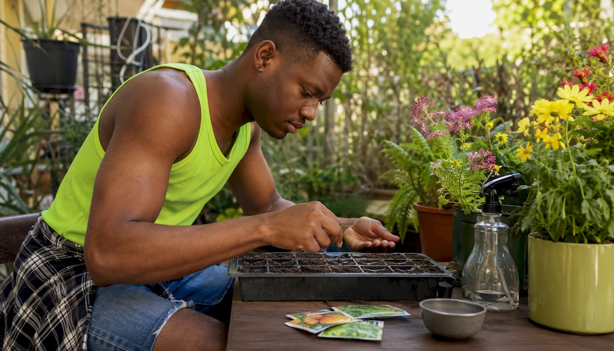 Hands sowing seeds into seed-starting tray indoors