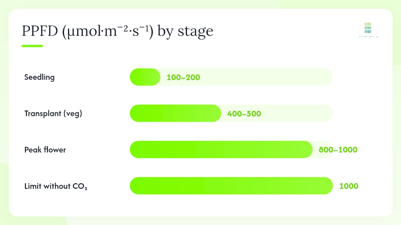 Diagram of cannabis PPFD targets by growth stage