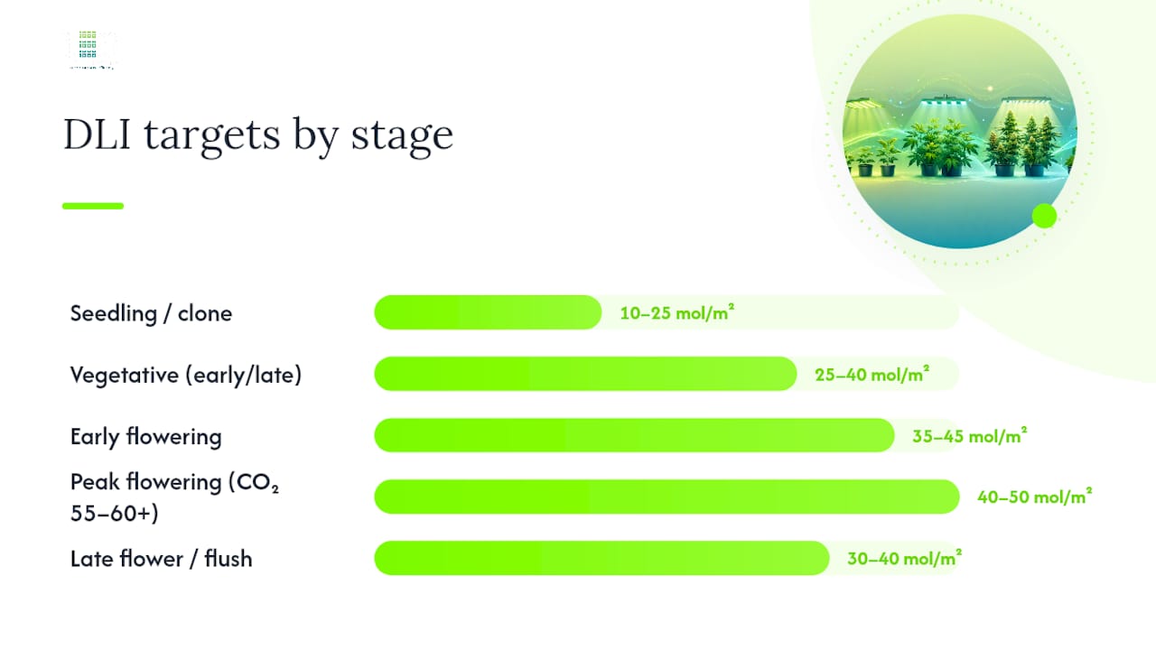 Diagram of cannabis growth stages with DLI target ranges