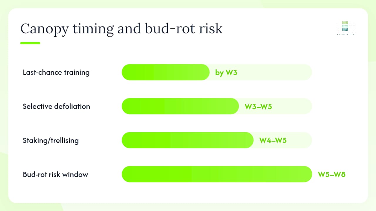 How Do Temperature and Humidity Affect Bud Development? — overview diagram