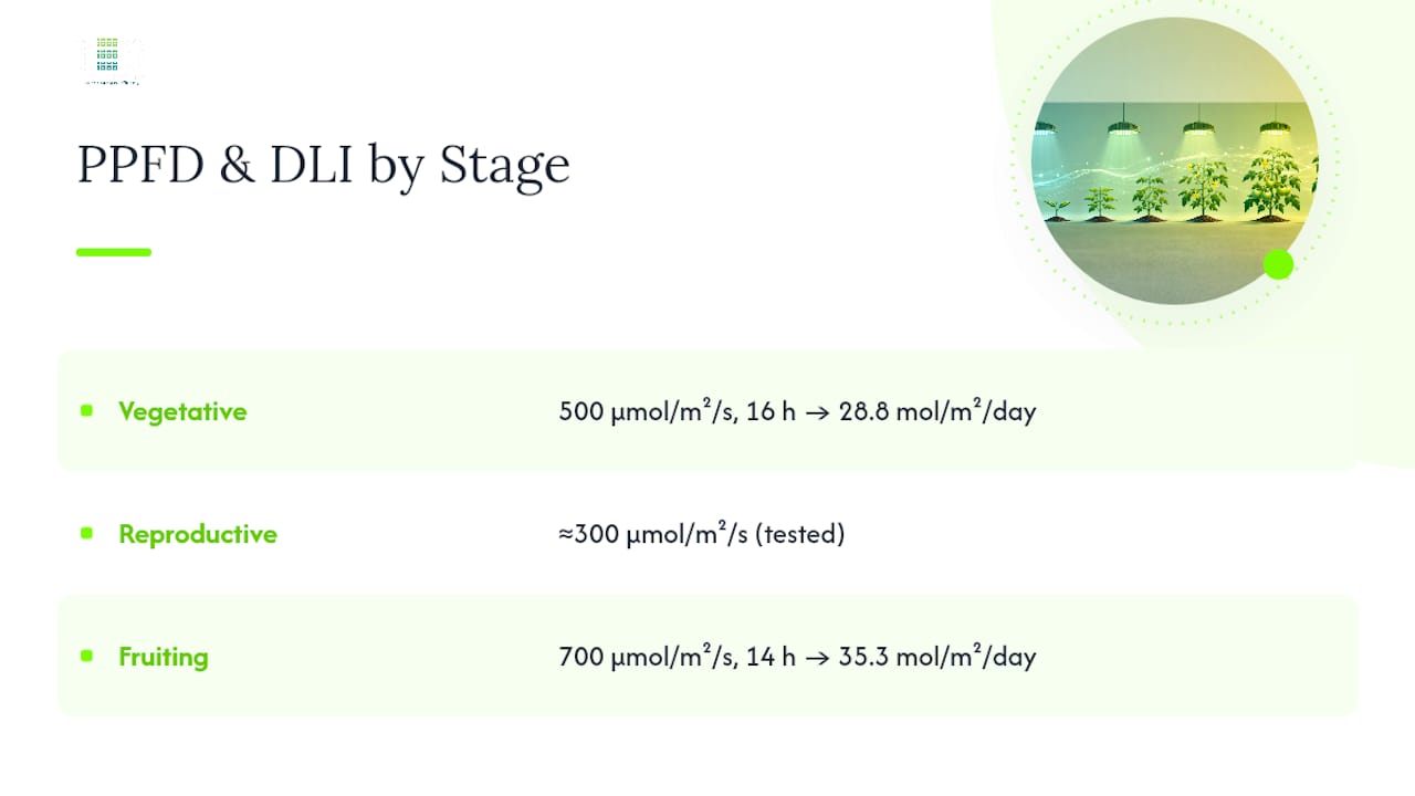 Diagram showing PPFD and DLI targets for tomato growth stages