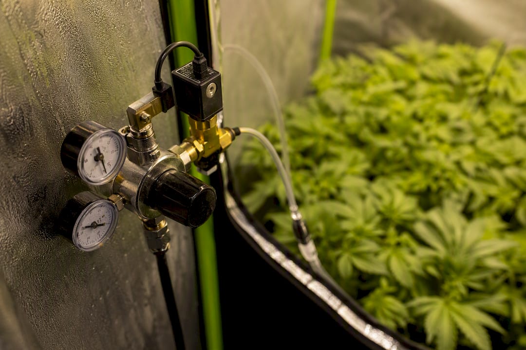 Compressed CO2 tank regulator and solenoid in grow tent
