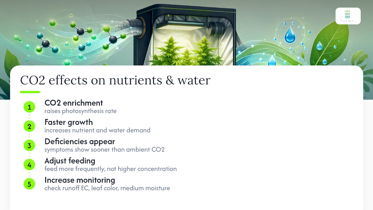Diagram showing CO2 impact on nutrient and water use in plants