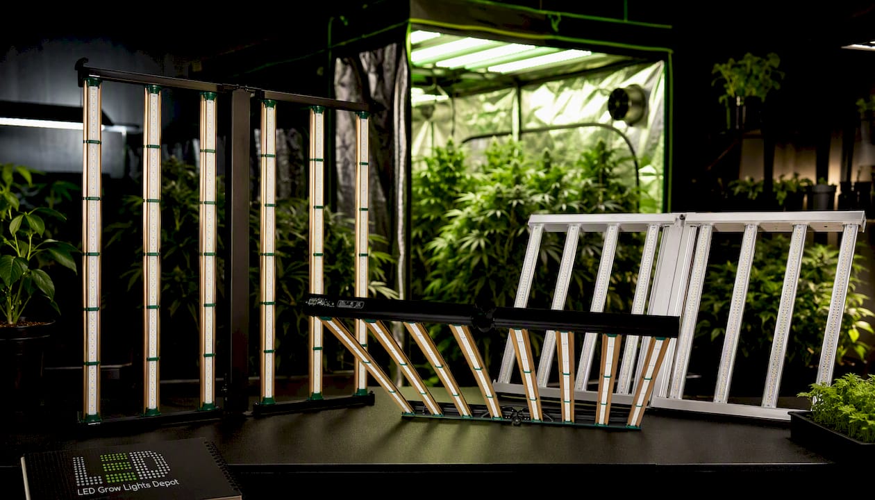 Grower's Choice ROI-FF 650W | 4x4 Flowering