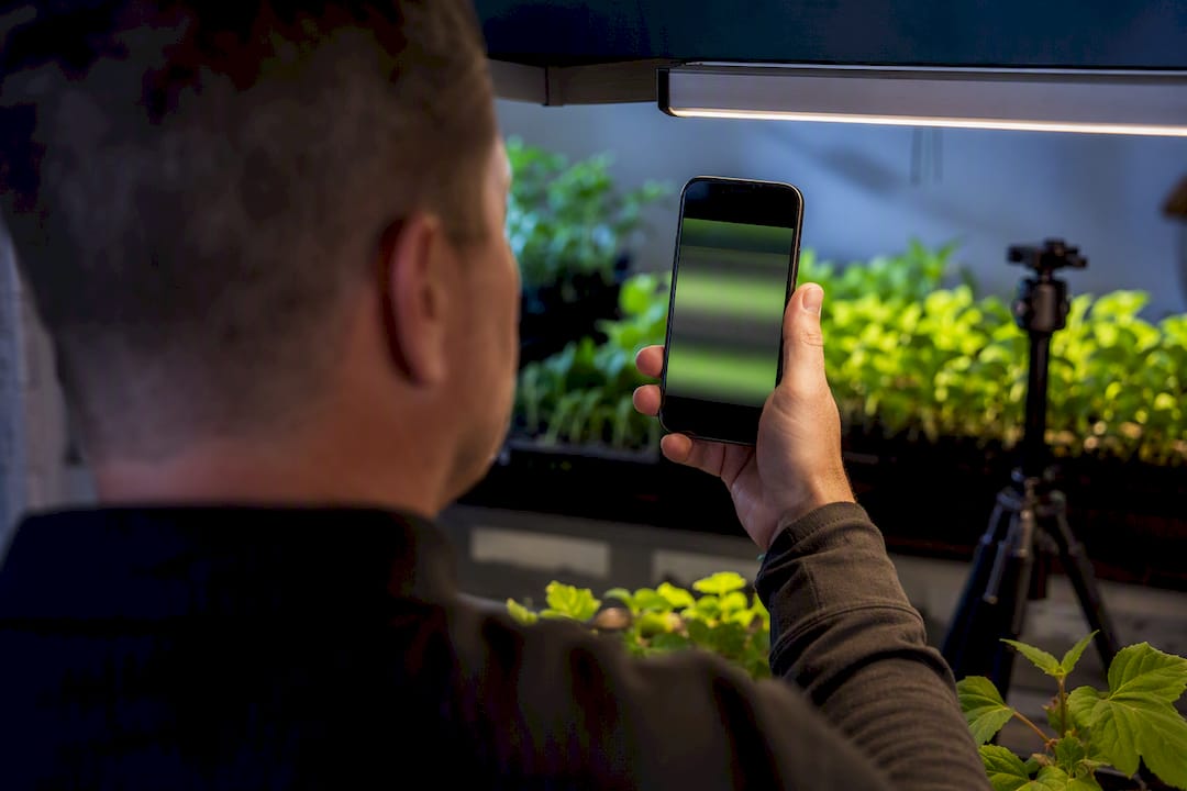 Phone camera checking invisible grow light flicker