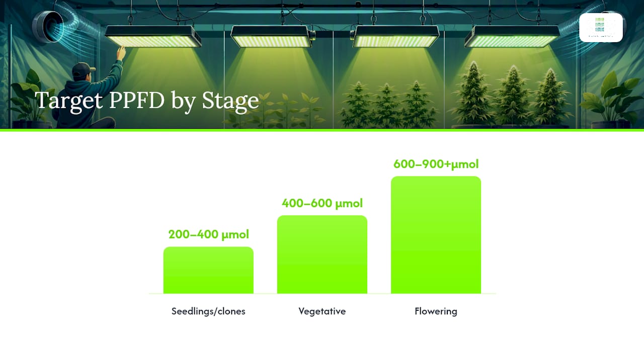 Why PPFD Matters More Than the Watts on the Box — overview diagram