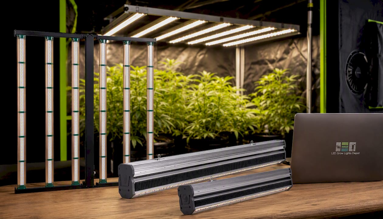 Grower's Choice ROI-FF 650W | 4x4 Flowering