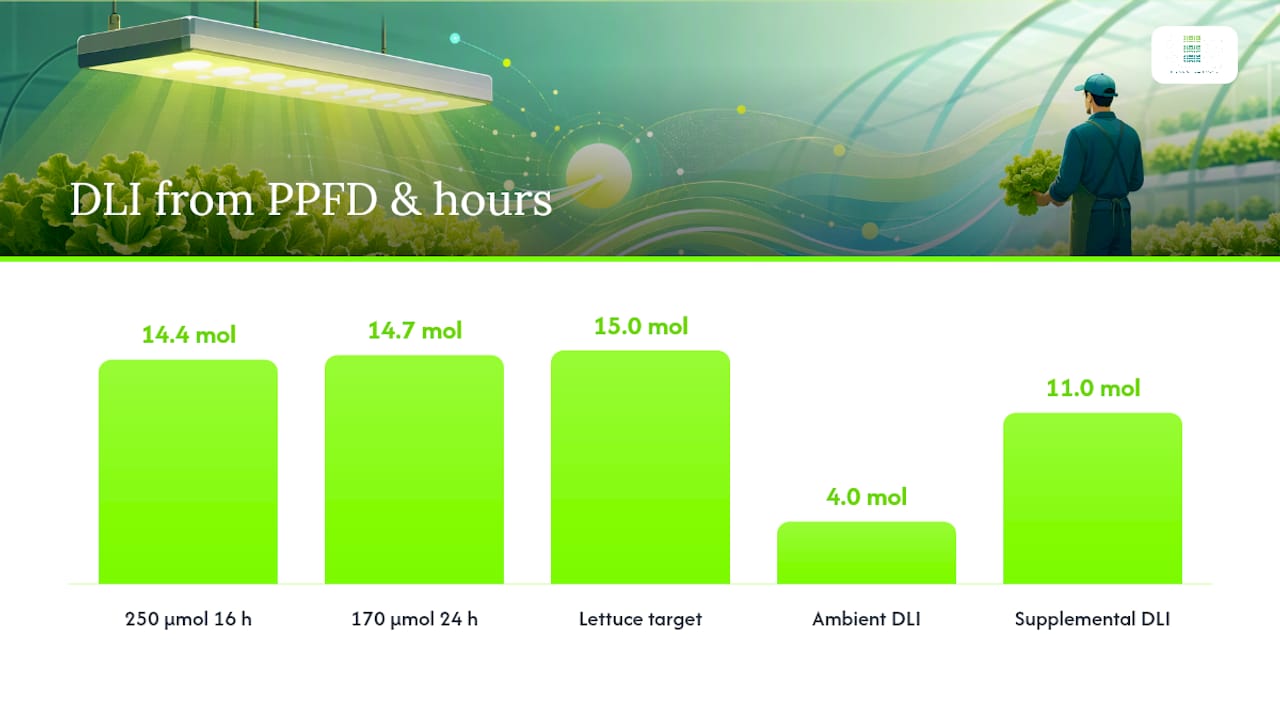 DLI calculation from PPFD and photoperiod