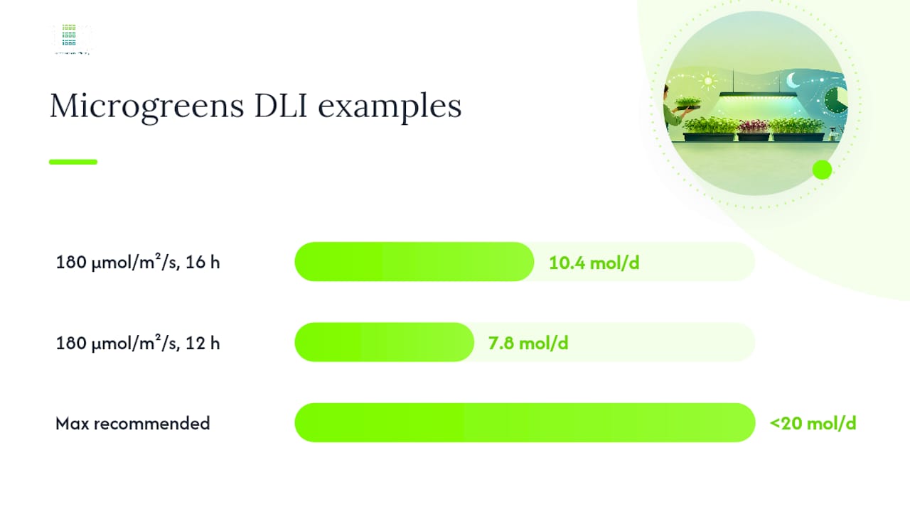 What Are the Real Microgreens Light Requirements? — overview diagram