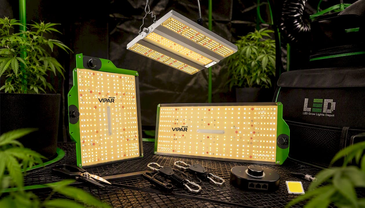 Viparspectra Pro Series P1000