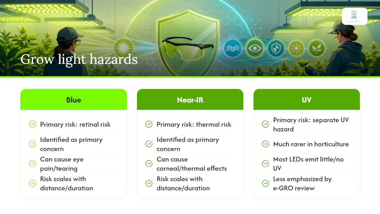 When Do You Actually Need Eye Protection From Grow Lights? — overview diagram