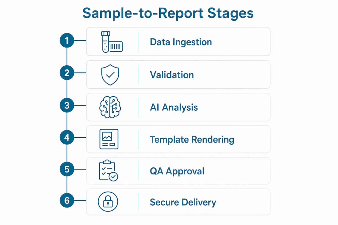 Infographic illustrating sample-to-report workflow stages