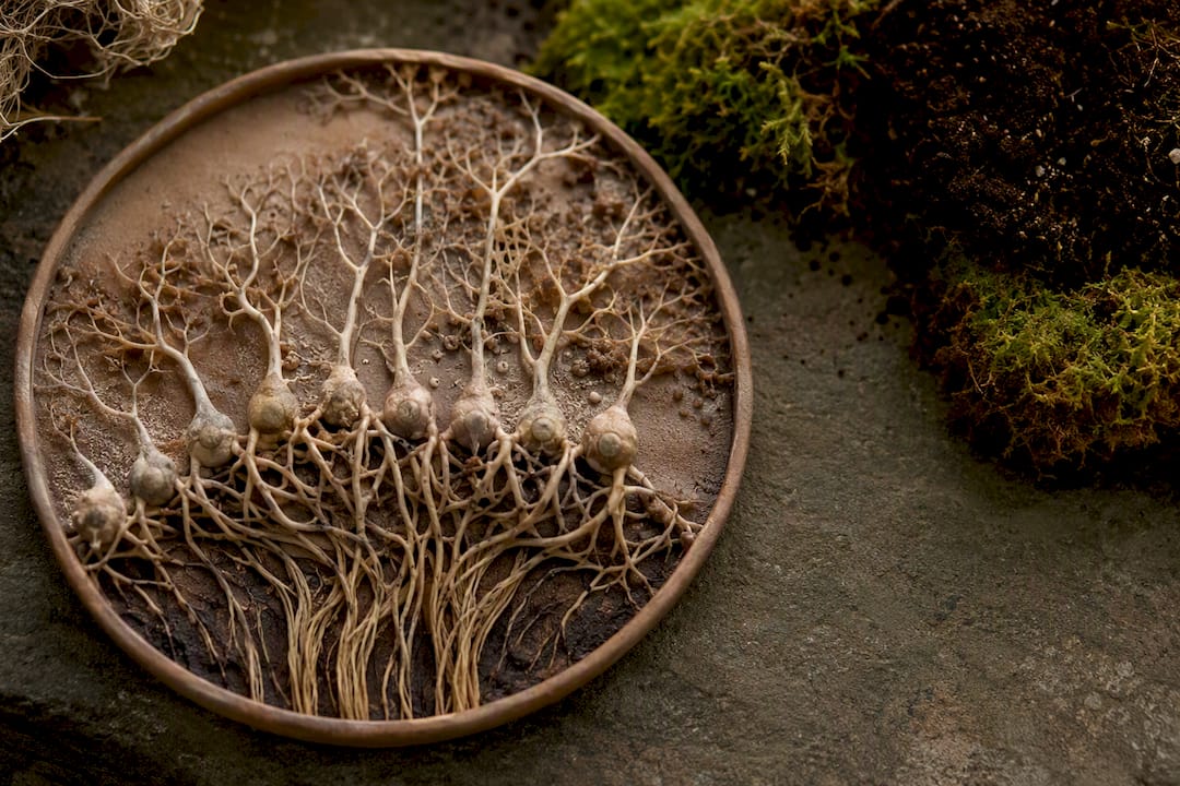 Artistic model of neural granule cells in olfactory bulb