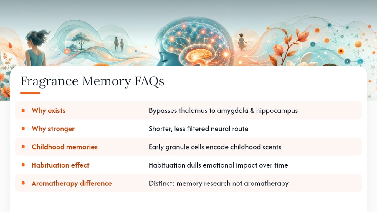 Frequently Asked Questions — overview diagram