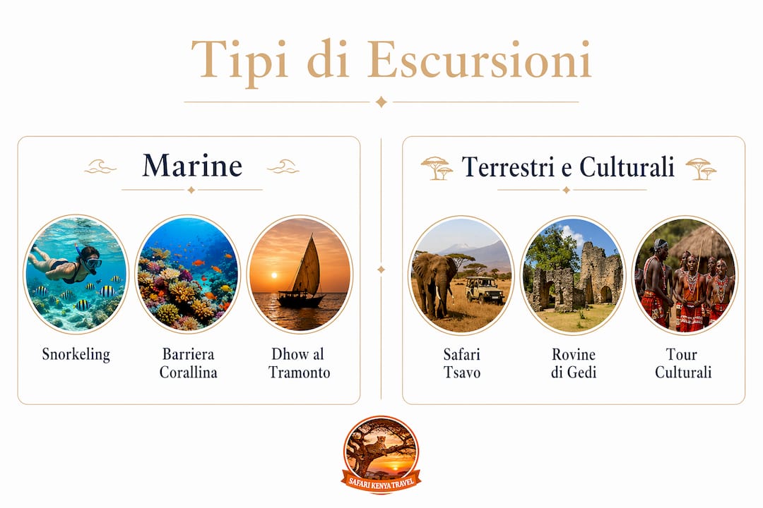 Infografica che raccoglie le principali tipologie di escursioni, sia in mare che sulla terraferma