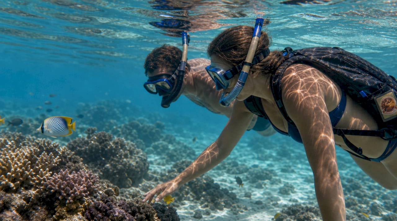 Snorkeling tra i colori mozzafiato della barriera corallina