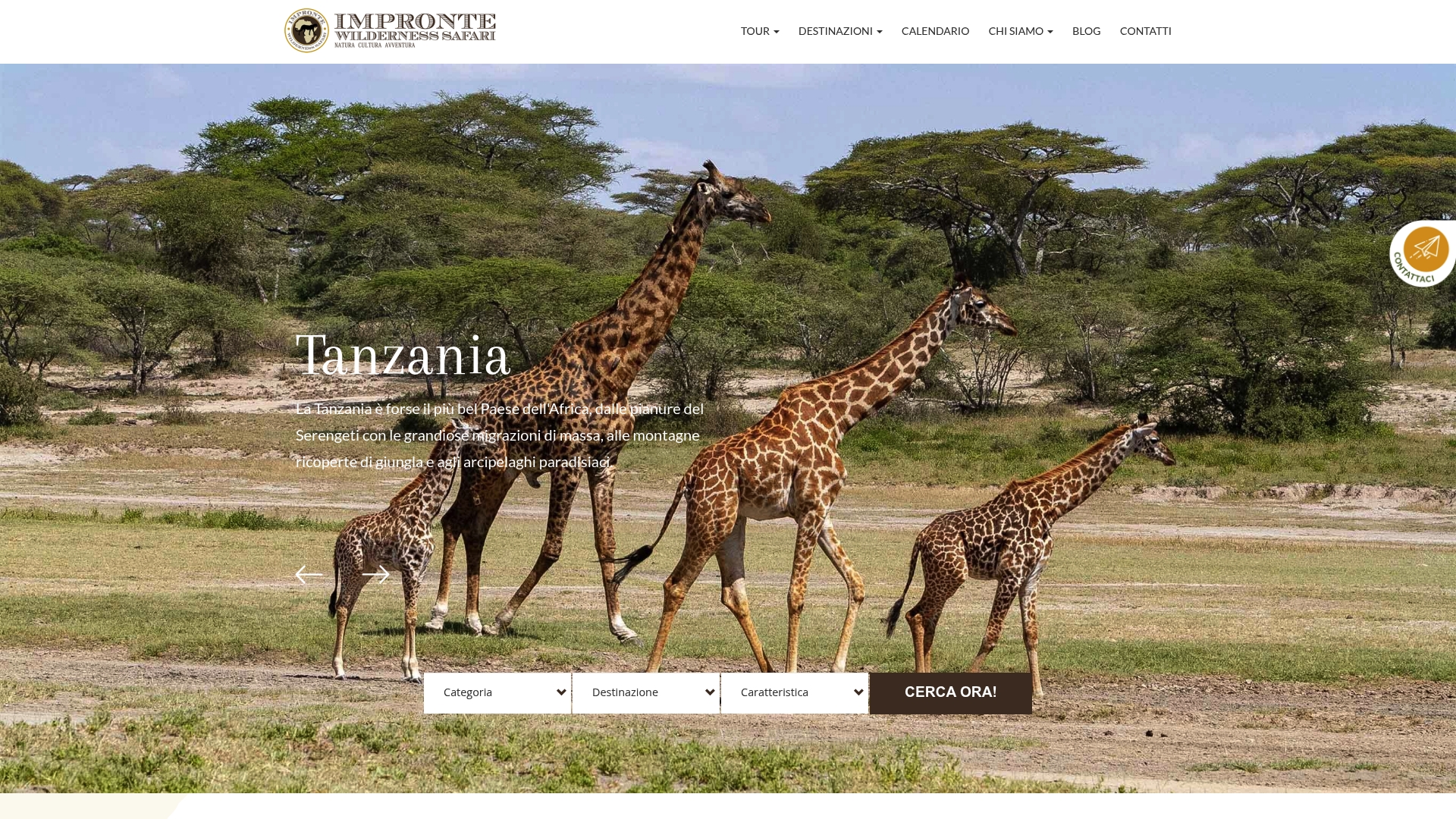 https://iwsafari.com