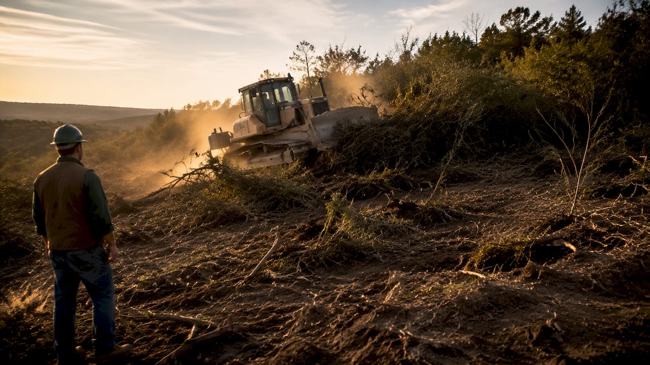 Bulldozer clearing land pushing vegetation