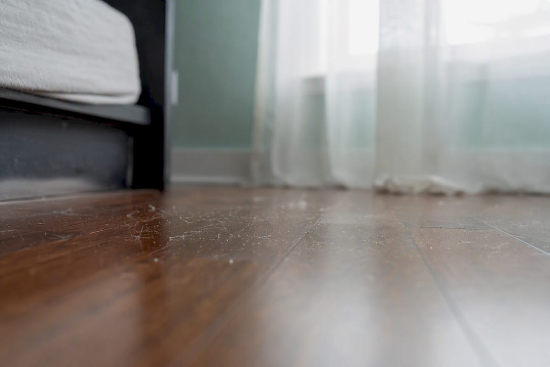 Dust and pet dander near mattress on floor