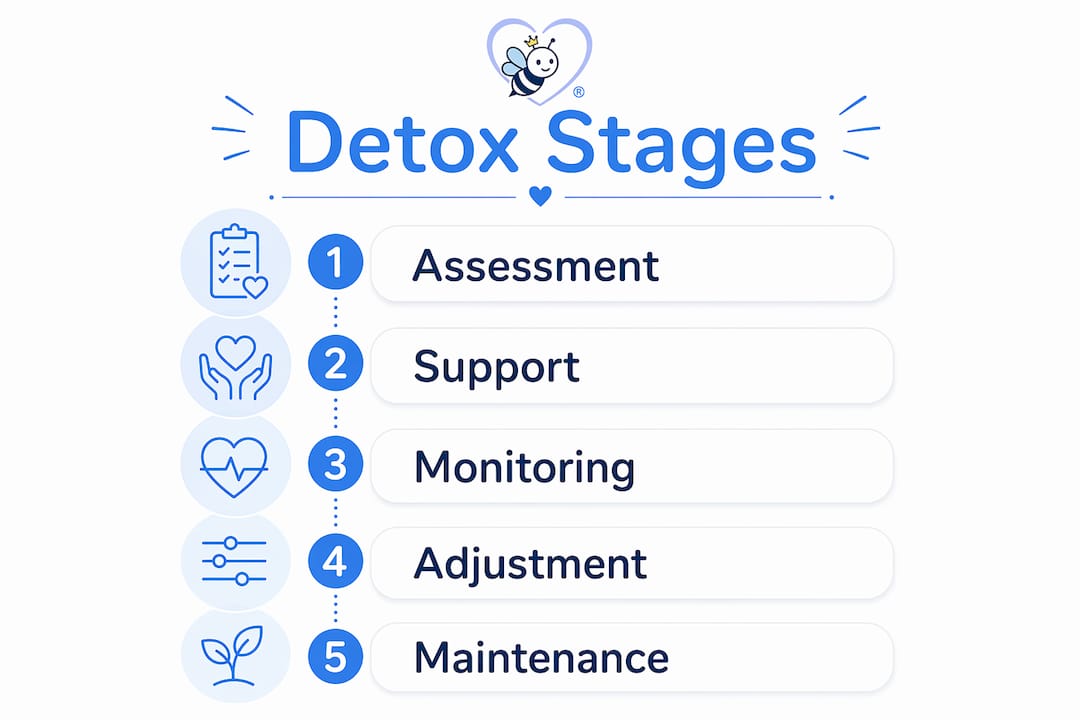 Infographic illustrating detox stages for chronic illness