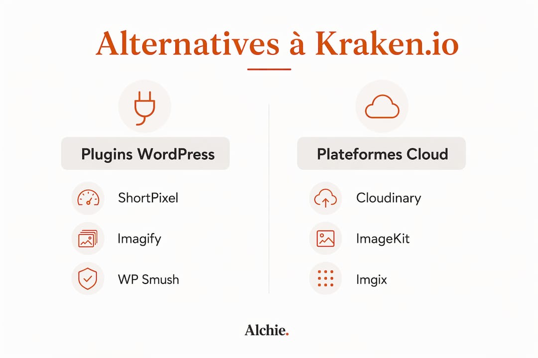 Comparatif visuel des principales alternatives à Kraken.io