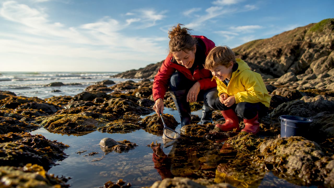 Adult and child exploring rock pools near Orcombe Point