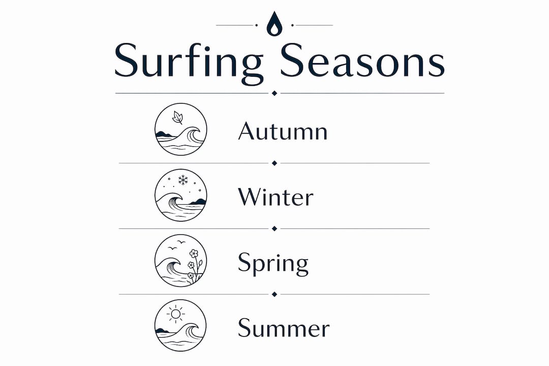 Infographic illustrating surfing seasons in Devon