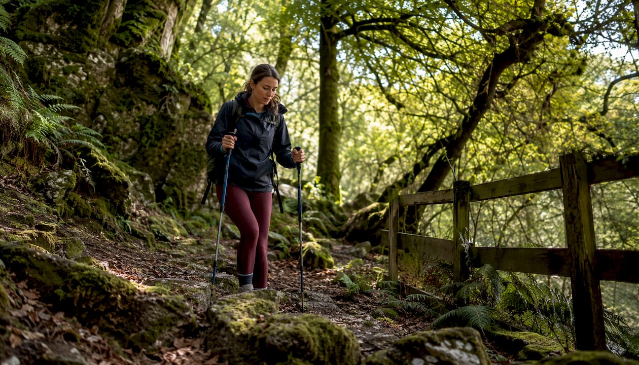 Hiker walking woodland path in Teign Gorge outdoors