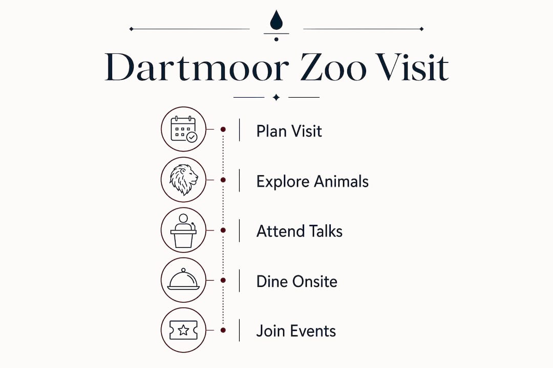 Infographic showing Dartmoor Zoo visitor guide steps