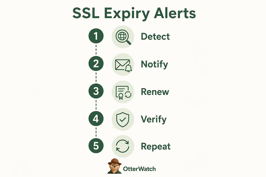 Infographic illustrating SSL expiry notification steps