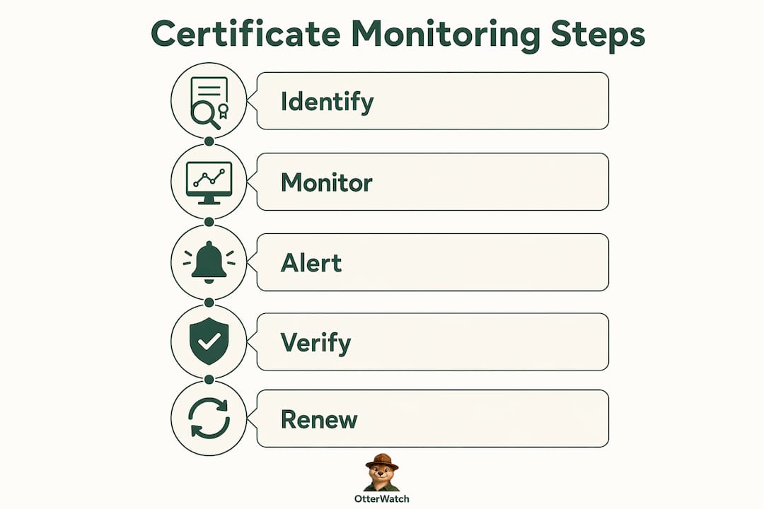 Infographic showing certificate monitoring steps