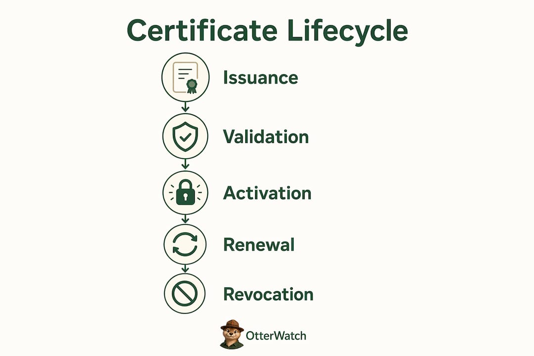 Infographic of certificate lifecycle steps