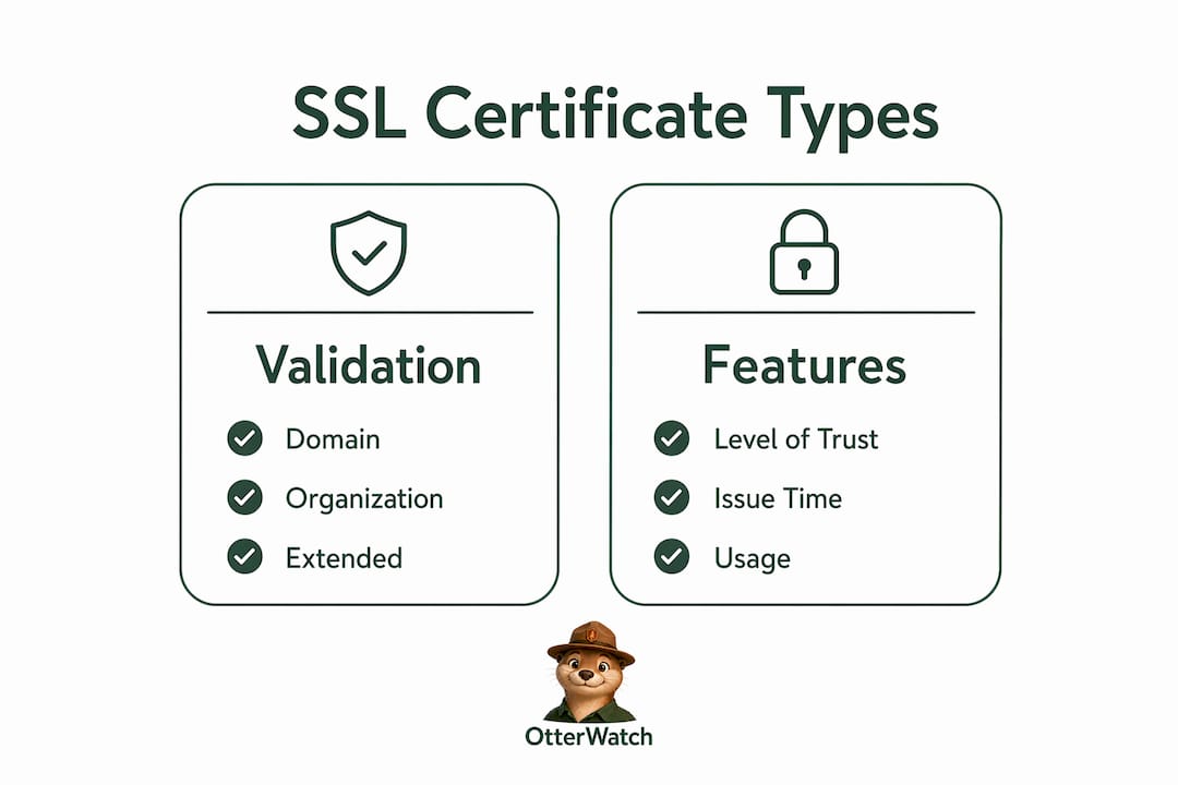 Infographic comparing SSL certificate types