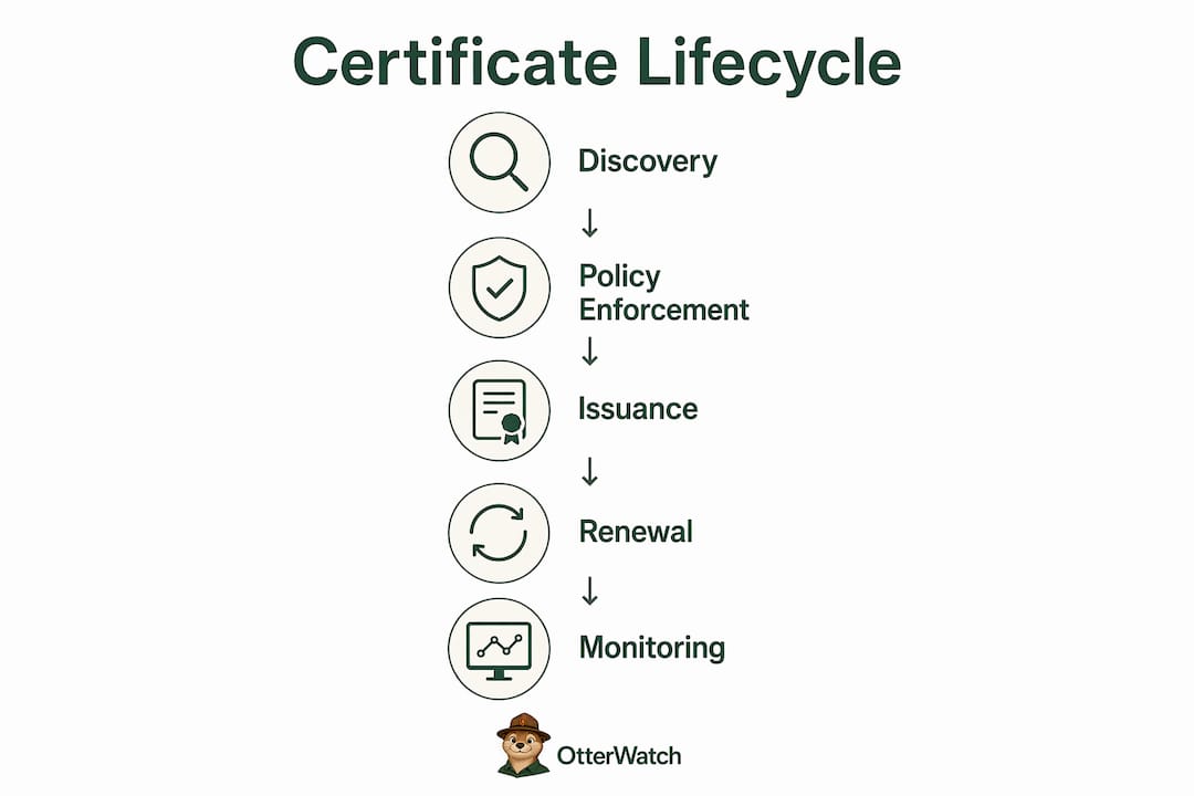 Infographic showing certificate lifecycle key stages