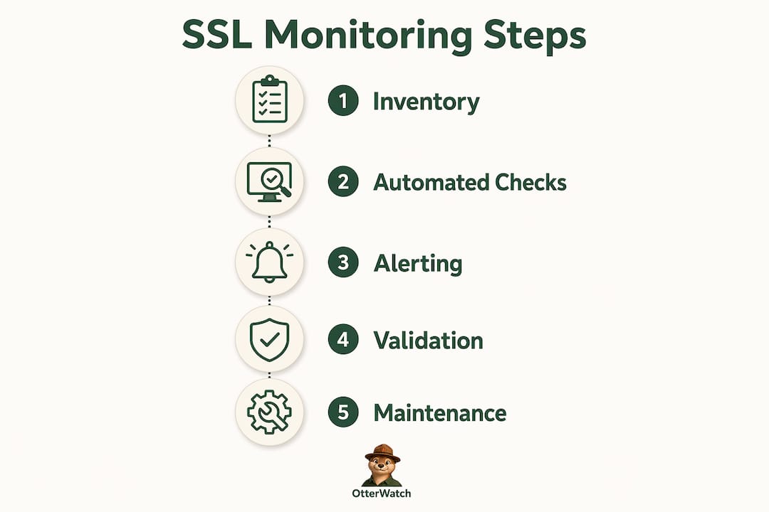 Infographic outlining SSL monitoring steps