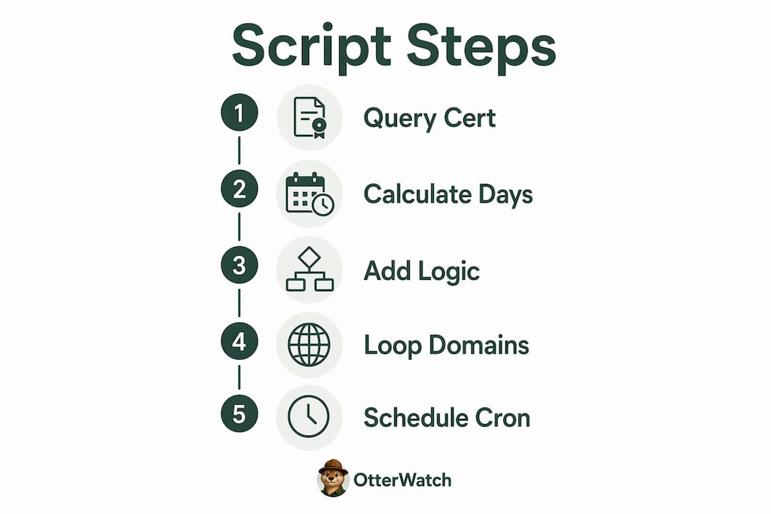 Infographic showing steps of certificate check script